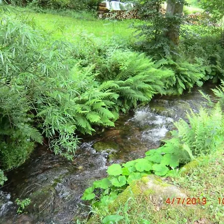 Welcoming In Near Nightlife Apartment Meisdorf