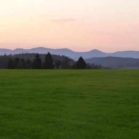 Welcoming In Near Nightlife * Meisdorf