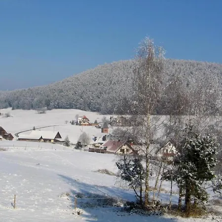 Welcoming In Near Nightlife Meisdorf
